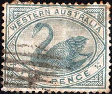 WESTERN AUSTRALIA, FAUNA, UCCELLI, BIRDS, CIGNO NERO, 1890, 2 P., USATO Mi:AU-WA 35, Scott:AU-WA 63, Yt:AU-WA 44 - Gebruikt