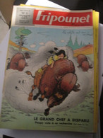 FRIPOUNET 1967           N°  5 - Fripounet