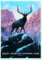 ► ROCKY MOUNTAIN   - NATIONAL PARK -  Colorado Deer - Rocky Mountains