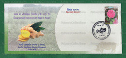 INDIA 2021 Inde Indien - KARBI ANGLONG GINGER - Special Postmark Cover - Diphu 31.08.2021 - Vegetables, GI Tag - Groenten