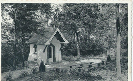 Kwaremont - Vredekapel - Chapelle Au Bois - Kluisbergen