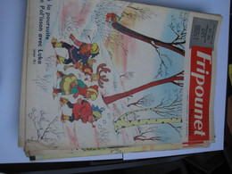 FRIPOUNET 1968           N°  36 - Fripounet