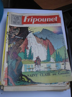 FRIPOUNET 1968           N°  45 - Fripounet