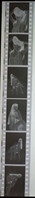 6 Negative Hübsche Junge Frau Sw / Beautiful Young Woman Bw / 24x35mm Vom Prof. Fotograf Erotik Erotic Abx-LR46-3 - Zonder Classificatie