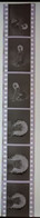 6 Negative Hübsche Junge Frau Sw / Beautiful Young Woman Bw / 24x35mm Vom Prof. Fotograf Erotik Erotic Abx-LR46-6 - Zonder Classificatie