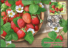 Russia 2020 - Strawberries. Cancellation Krasnodar - Mint - Maximum Card Maxi Card Fruit Cake Wine  (**) - Cartas & Documentos