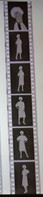 6 Negative Hübsche Junge Frau Sw / Beautiful Young Woman Bw / 24x35mm Vom Prof. Fotograf Erotik Erotic Abx-LR42-5 - Zonder Classificatie