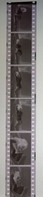 6 Negative Hübsche Junge Frau Sw / Beautiful Young Woman Bw / 24x35mm Vom Prof. Fotograf Erotik Erotic Abx-LR38-7 - Zonder Classificatie