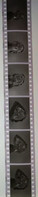 6 Negative Hübsche Junge Frau Sw / Beautiful Young Woman Bw / 24x35mm Vom Prof. Fotograf Erotik Erotic Abx-LR37-7 - Zonder Classificatie