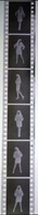 6 Negative Hübsche Junge Frau Sw / Beautiful Young Woman Bw / 24x35mm Vom Prof. Fotograf Erotik Erotic Abx-LR33-6 - Unclassified