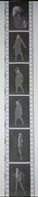 6 Negative Hübsche Junge Frau Sw / Beautiful Young Woman Bw / 24x35mm Vom Prof. Fotograf Erotik Erotic Abx-LR29-6 - Zonder Classificatie