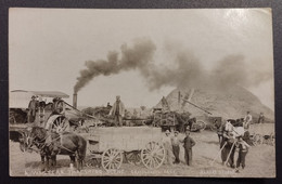 Post Card GRAVELBOURG A WESTERN THRESHING SCENE Moisson April 1917 > France - Otros & Sin Clasificación