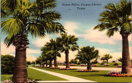 Texas Corpus Christi Ocean Drive 1956 - Corpus Christi