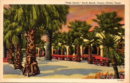 Texas Corpus Christi North Beach Palm Grove 1949 Curteich - Corpus Christi