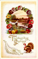 Thanksgiving Greetings With Turkey - Thanksgiving