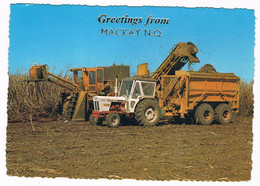 AUS-374   MACKAY : Sugar Cane Harvesting ( Tractor ) - Mackay / Whitsundays