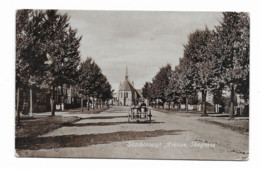 Angleterre  - Yorkshire : Scarborough Avenue , Skegness  Réf 8644 - Scarborough