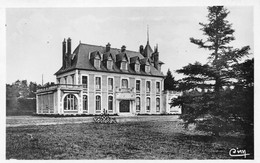 NANCAY - Château Du Haut-Boulay - Nançay