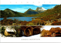 (2 B 36) Australia - TAS  - UNESCO - Cradle Mountains - Wilderness