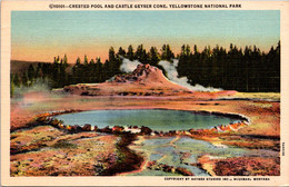 Yellowstone National Park Crested Pool And Castle Geyser Cone 1947 Curteich - USA National Parks