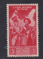 STAMPS-POLAND-1945-UNUSED-MNH**-SEE-SCAN - Vignettes De La Libération