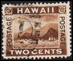 1894. HAWAII. TWO CENTS. (Michel 58) - JF510892 - Hawai