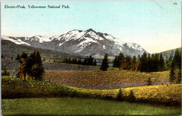 Yellowstone National Park Electric Peak Curteich - USA National Parks