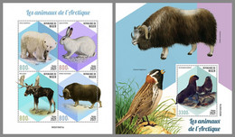 NIGER 2021 MNH Arctic Animals Arktische Tierwelt Animaux Arctique M/S+S/S - OFFICIAL ISSUE - DHQ2147 - Arctische Fauna