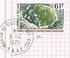 T;A;A;F; N°52 - Used Stamps