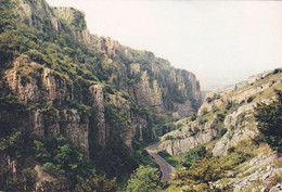 Cheddar Gorge - Unused Postcard - Somerset - J Arthur Dixon - Wells