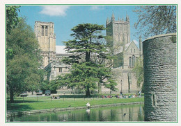 Wells Cathedral & Bishops Palace - Unused Postcard - Somerset - J Arthur Dixon - Wells