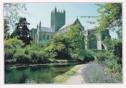 Wells Cathedral & Bishops Garden  - Unused Postcard - Somerset - J Arthur Dixon - Wells