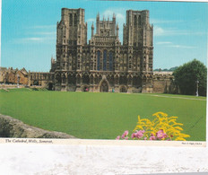 Wells Cathedral - Unused Postcard - Somerset - John Hinde - Wells