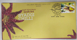 India 2021 Byagdi Chilli GI Tag Special Cover Spices, Food, Gastronomy, Fruit Vegetable, Curry  (**) Inde Indien - Brieven En Documenten