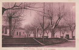 CPA  84 MAZAN ESPLANADE PORTE DE CARPENTRAS - Mazan