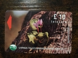CYPRUS  PHONECARD 10 POUND   AKAMAS FOREST/FLOWER     NO 18CYPC    MAGNET CARD    ** 6405 ** - Zypern