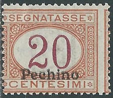 1917 CINA PECHINO SEGNATASSE 20 CENT MNH ** - RE11-10 - Pékin