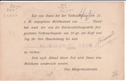 REICH - 1915 - CARTE De RESTRICTION De FARINE - 20g Par PERSONNE Et Par JOUR - Other & Unclassified