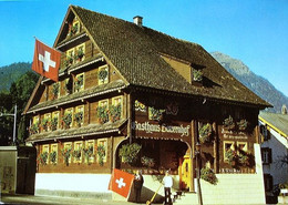 GOLDAU Am Rigi Werbung Gasthaus Bauernhof Alphornbläser Jmlig Fahnenschwinger Arth- & Vitznau-Rigi-Bahn Tierpark - Arth