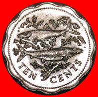 * GREAT BRITAIN (1974-2005): THE BAHAMAS ★ 10 CENTS 1998! MINT LUSTRE! FISHES AND SHIP!  LOW START ★ NO RESERVE! - Bahamas