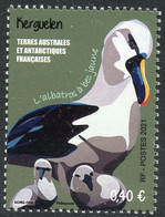 TAAF (2021) LES TAAF EN GRAAF Kerguelen Albatros à Bec Jaune, Thalassarche Chlororhynchos, Yellow-nosed Albatross - Unused Stamps