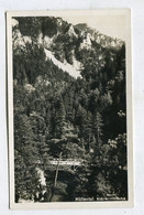 AK 014059 GERMANY - Höllental - Abbrennbrücke - Höllental