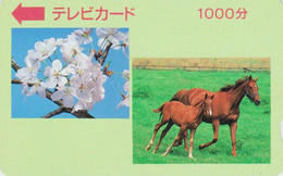 RARE Carte Prépayée JAPON - ANIMAL - CHEVAL  - HORSE JAPAN Prepaid TV Television Card - BE 353 - Paarden