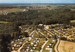 PIE-Foi.ARG-21-5325 : VUE AERIENNE. LE CHATELET-EN-BRIE. LA MUSSINE - Le Chatelet En Brie