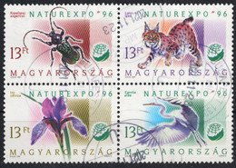 Egret Ardea Alba Bird Lynx Iris Sibirica Flower Insect Longhorn Beetle Ropalopus Ungaricus 1996 Hungary Naturexpo USED - Used Stamps