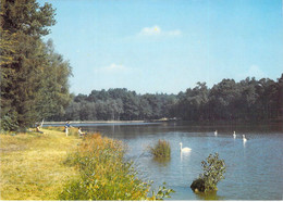 89 - Treigny - Parc Naturel De Boutissaint - L'étang Du Château - Treigny