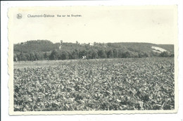 Chaumont Vue Sur Les Bruyères - Chaumont-Gistoux