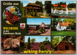 Walsrode - Mehrbildkarte 3   Forellenlokal Luisenhöhe Heidjergrill In Der Lüneburger Heide - Walsrode