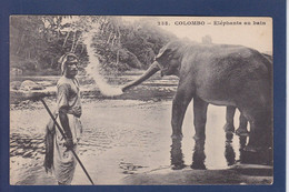 CPA éléphant Non Circulé Asie Colombo - Elefanten