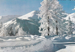 VALLOIRE GALIBIER   LE CREY ROND (SOL) - Other & Unclassified